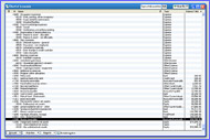 Automatically Track Your Organization's Finances -- Click Here to Enlarge